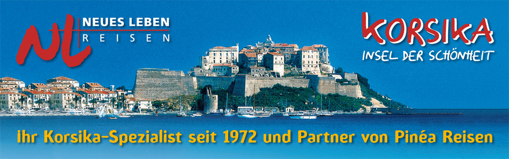NL-Header-Kopf